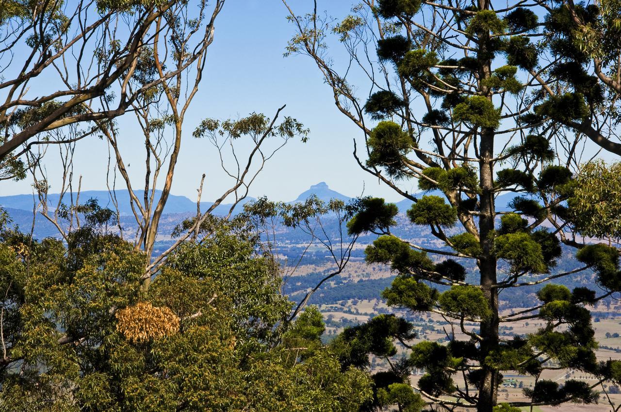 Possum Lodge At Cloudhill Estate Mount Tamborine Buitenkant foto